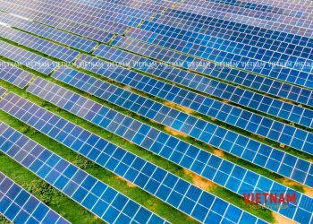 “Cơn lốc” điện mặt trời quét qua, quy hoạch đất đai bị phá nát – Bài 3: “Núp bóng” trang trại