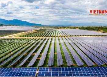 “Cơn lốc” điện mặt trời quét qua, quy hoạch đất đai bị phá nát – Bài 3: “Núp bóng” trang trại