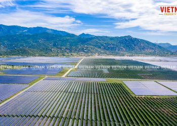 “Cơn lốc” điện mặt trời quét qua, quy hoạch đất đai bị phá nát – Bài 3: “Núp bóng” trang trại