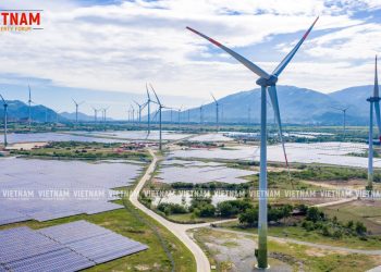 Ninh Thuận khảo sát hàng loạt dự án điện mặt trời, diện tích hàng trăm ha