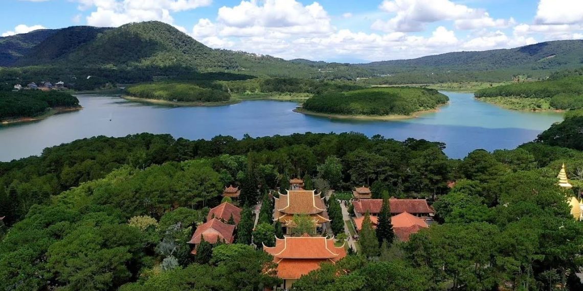 Đà Lạt xóa sổ hơn 22.464 m2 rừng thông 3 lá để mở đường qua khu du lịch hồ Tuyền Lâm