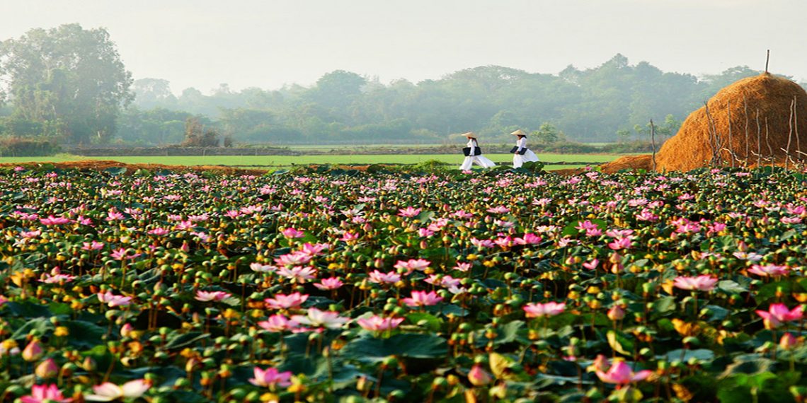 Tập đoàn Hưng Thịnh đề xuất đầu tư dự án 2.745ha tại Đồng Tháp