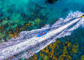 Tập đoàn Hưng Thịnh: Từ “an cư lạc nghiệp” đến di sản trọn đời