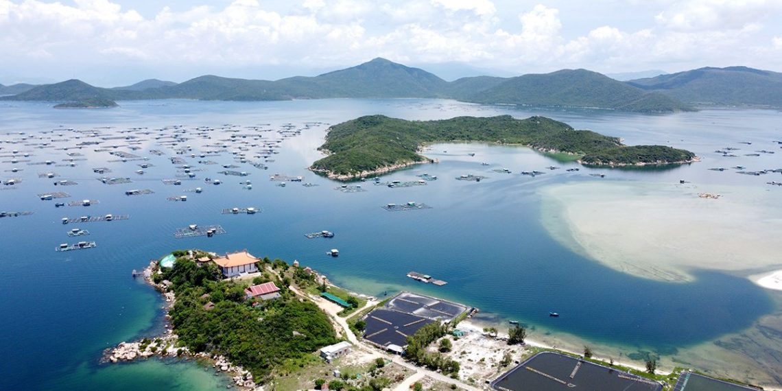 Rà soát lại hiện trạng rừng, đất rừng liên quan đến các dự án tại Khu kinh tế Vân Phong