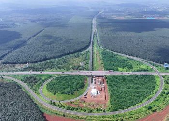 Hoàn thành phê duyệt phương án bồi thường hơn 180ha đất Dự án cao tốc Dầu Giây – Tân Phú